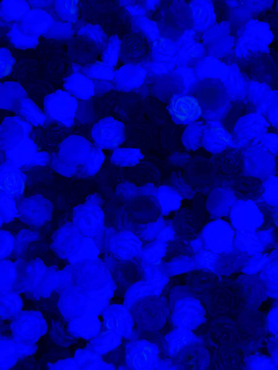 蓄光ソフトローズ N071